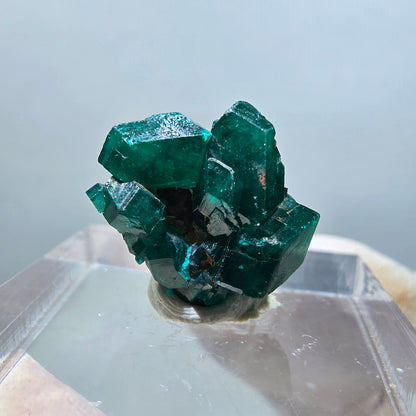 Seltene Dioptas XX Stufe, grün Republik Kongo 15*14*8mm