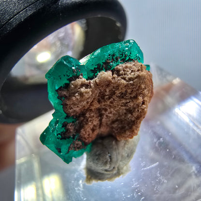 Seltene Dioptas XX Stufe, grün Republik Kongo 15*14*8mm