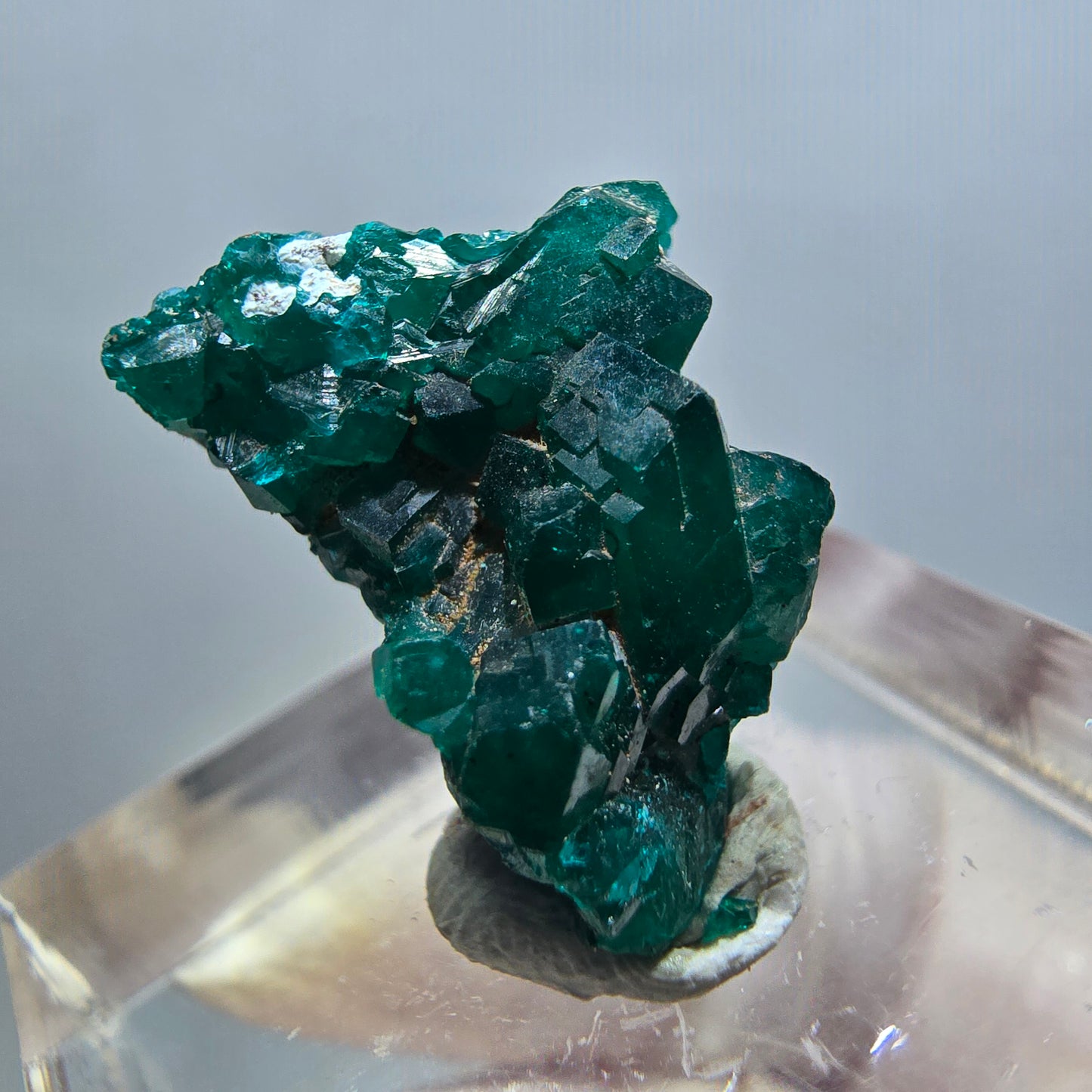 Seltene Dioptas XX Stufe, grün Republik Kongo 18*14*8mm