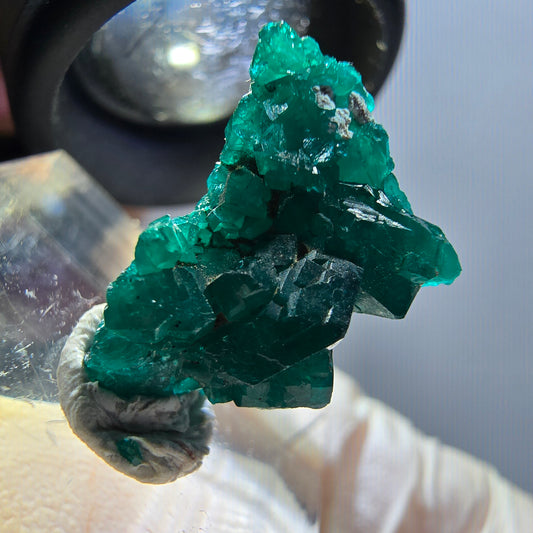 Seltene Dioptas XX Stufe, grün Republik Kongo 18*14*8mm