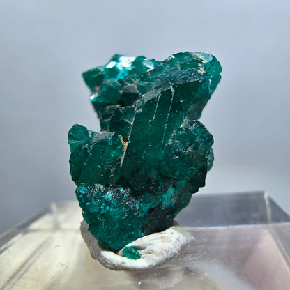 Seltene Dioptas XX Stufe, grün Republik Kongo 18*14*8mm