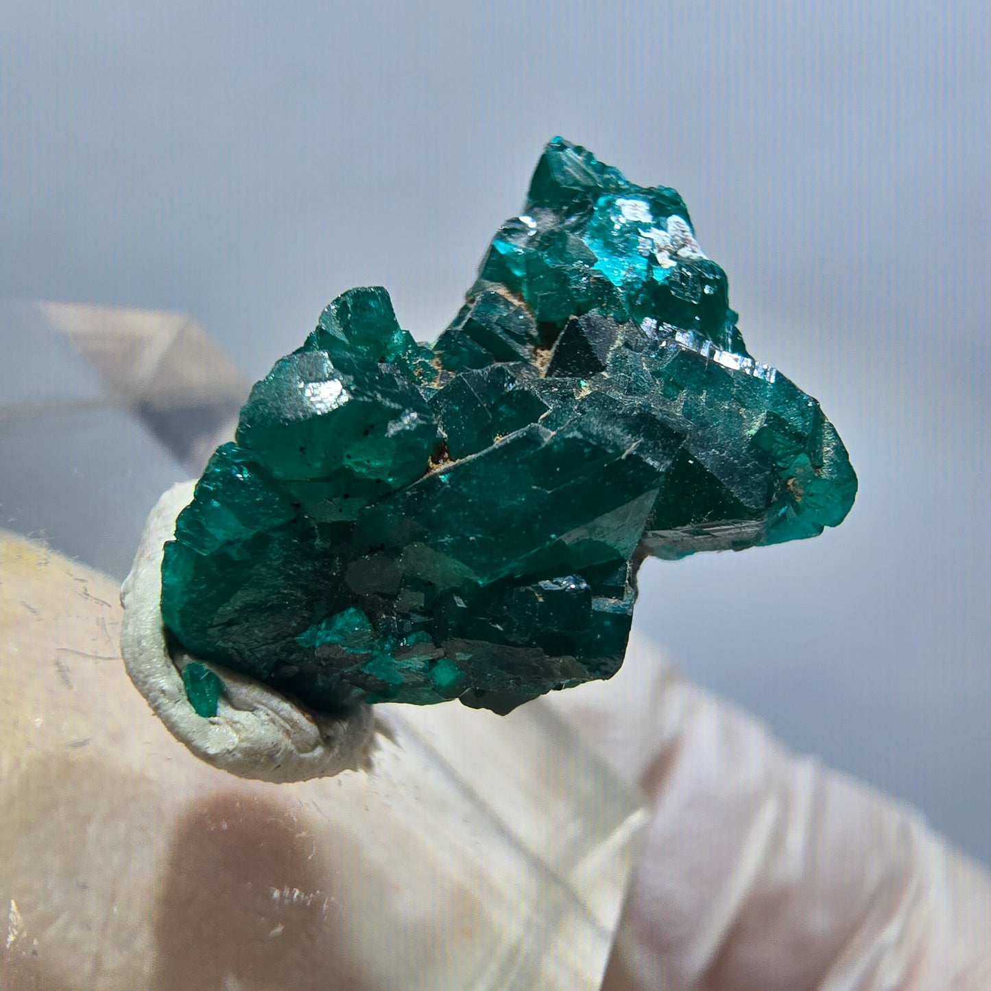 Seltene Dioptas XX Stufe, grün Republik Kongo 18*14*8mm