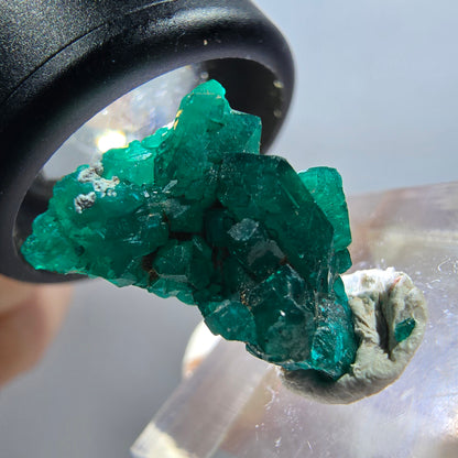 Seltene Dioptas XX Stufe, grün Republik Kongo 18*14*8mm