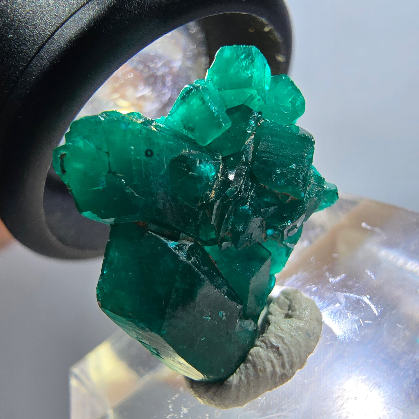 Seltene Dioptas XX Stufe, grün Republik Kongo 19*17*7mm