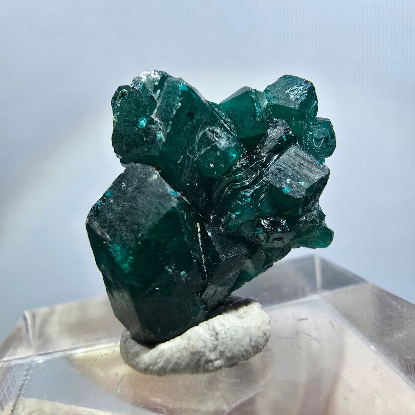 Seltene Dioptas XX Stufe, grün Republik Kongo 19*17*7mm