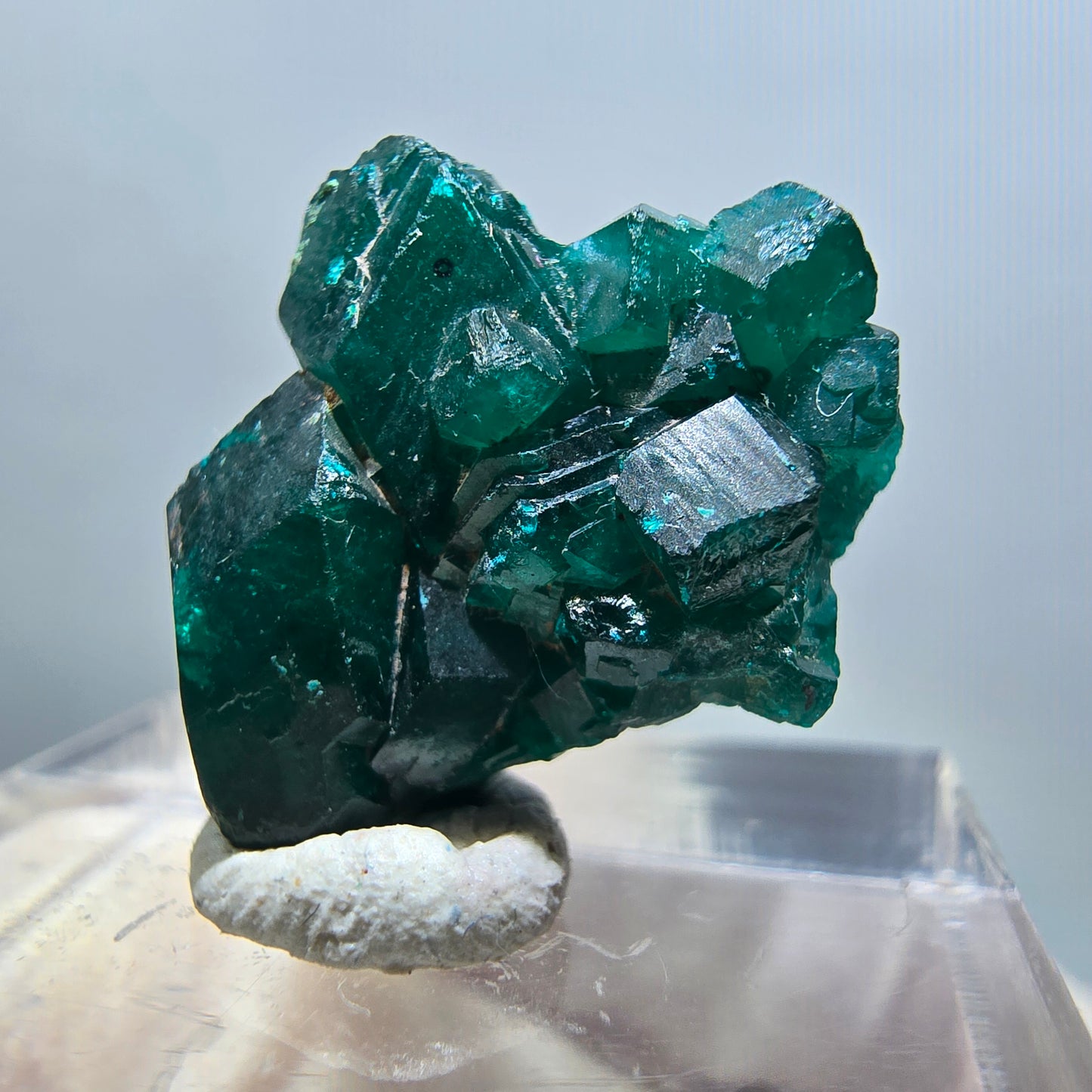 Seltene Dioptas XX Stufe, grün Republik Kongo 19*17*7mm