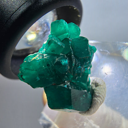 Seltene Dioptas XX Stufe, grün Republik Kongo 19*17*7mm