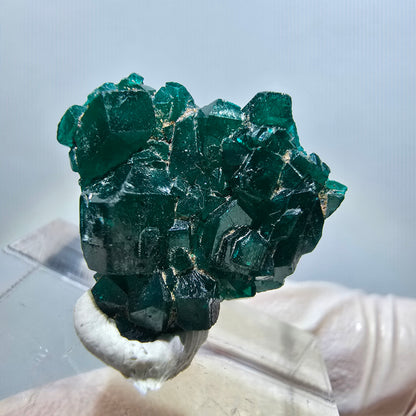 Seltene Dioptas XX Stufe, grün Republik Kongo 20*19*6mm