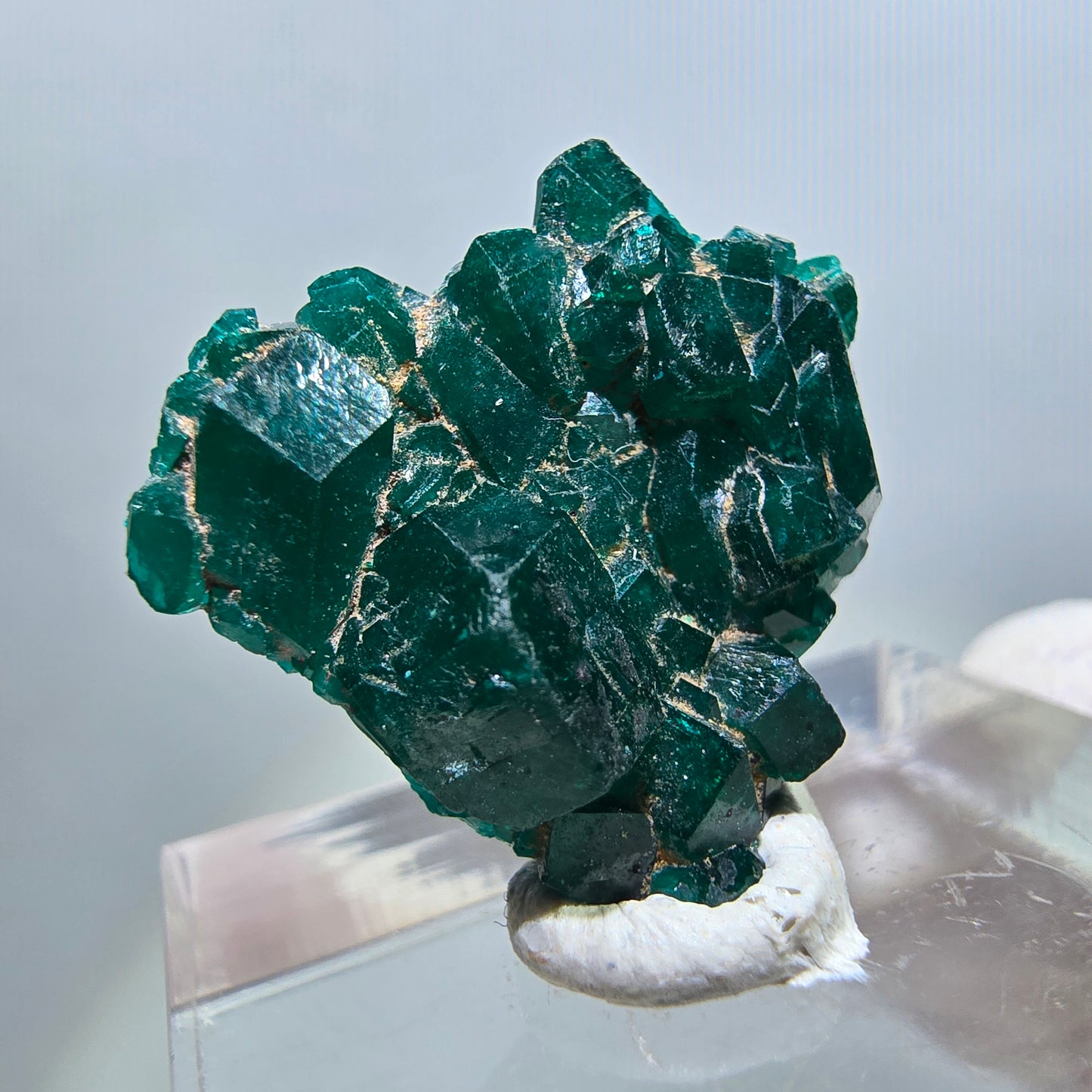 Seltene Dioptas XX Stufe, grün Republik Kongo 20*19*6mm