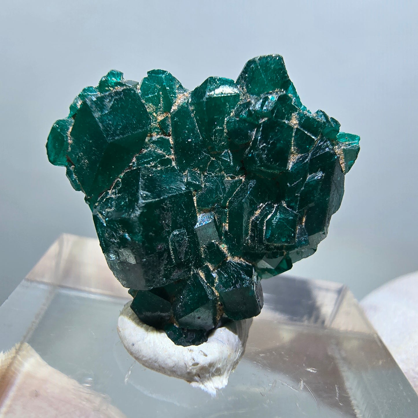 Seltene Dioptas XX Stufe, grün Republik Kongo 20*19*6mm