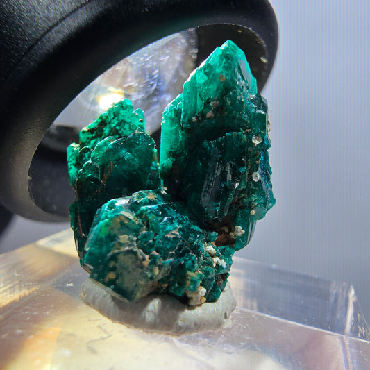 Seltene Dioptas XX Stufe, grün Republik Kongo 19*16*13mm