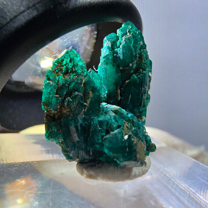 Seltene Dioptas XX Stufe, grün Republik Kongo 19*16*13mm