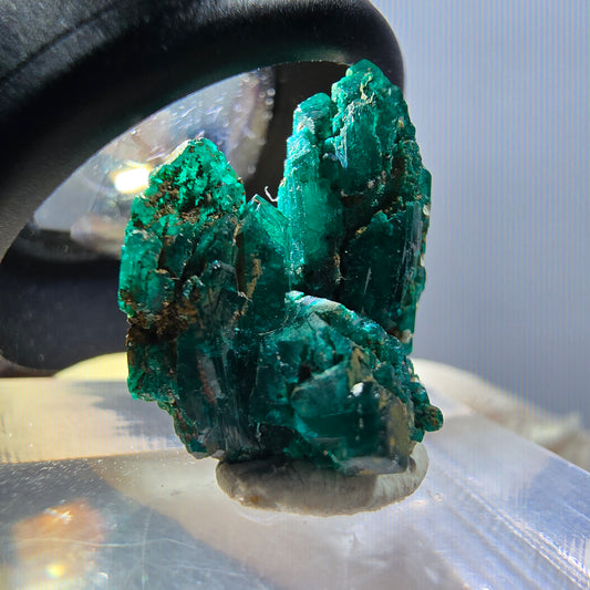 Seltene Dioptas XX Stufe, grün Republik Kongo 19*16*13mm