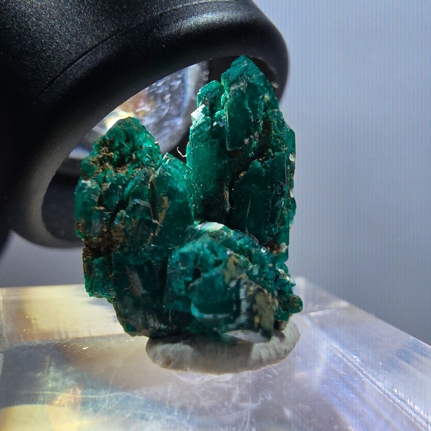 Seltene Dioptas XX Stufe, grün Republik Kongo 19*16*13mm