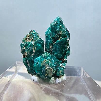 Seltene Dioptas XX Stufe, grün Republik Kongo 19*16*13mm