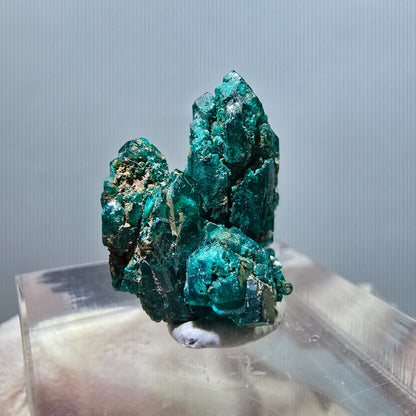 Seltene Dioptas XX Stufe, grün Republik Kongo 19*16*13mm