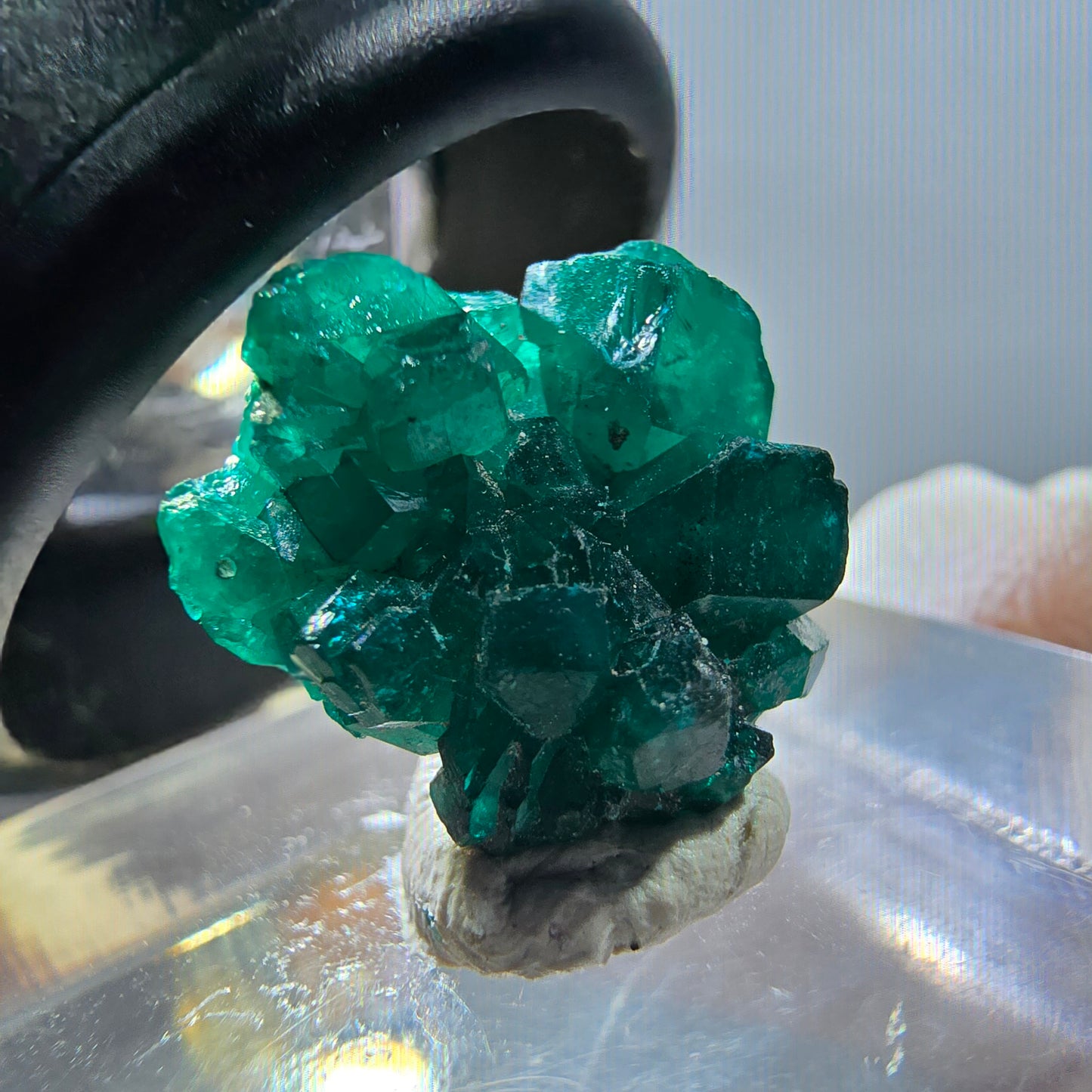 Seltene Dioptas XX Stufe, grün Republik Kongo 15*13*9mm