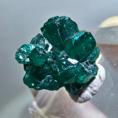 Seltene Dioptas XX Stufe, grün Republik Kongo 15*13*9mm