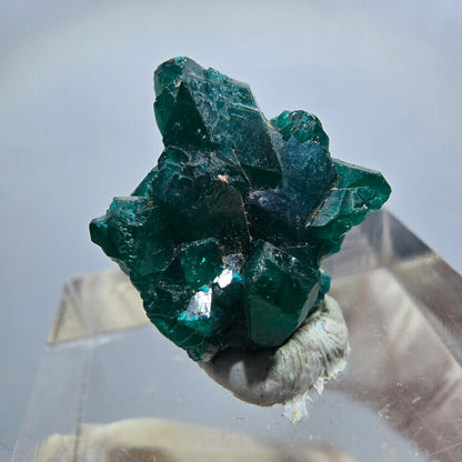 Seltene Dioptas XX Stufe, grün Republik Kongo 17*14*10mm