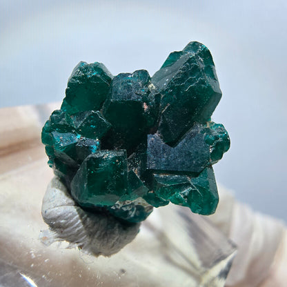 Seltene Dioptas XX Stufe, grün Republik Kongo 17*14*10mm