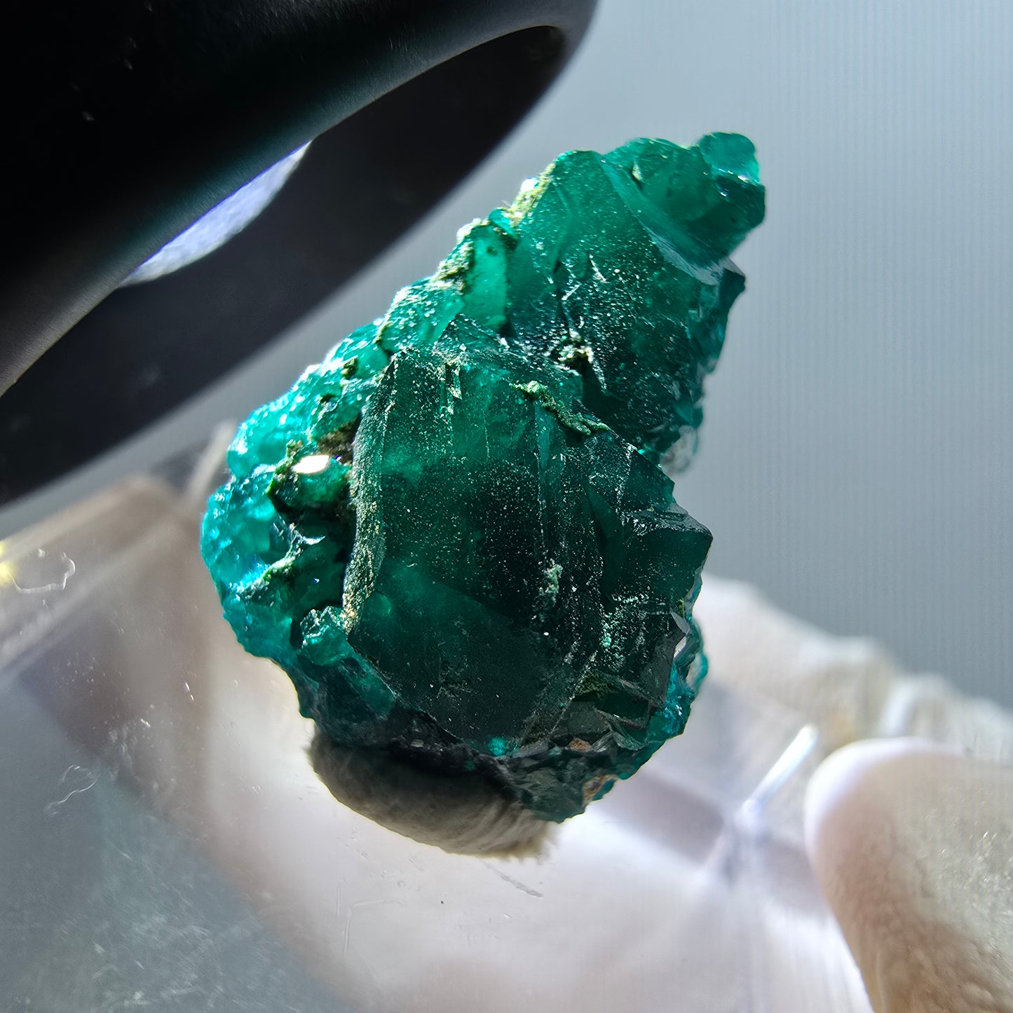 Seltene Dioptas XX Stufe, grün Republik Kongo 21*15*10mm