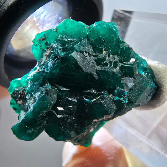 Seltene Dioptas XX Stufe, grün Republik Kongo 26*25*9mm