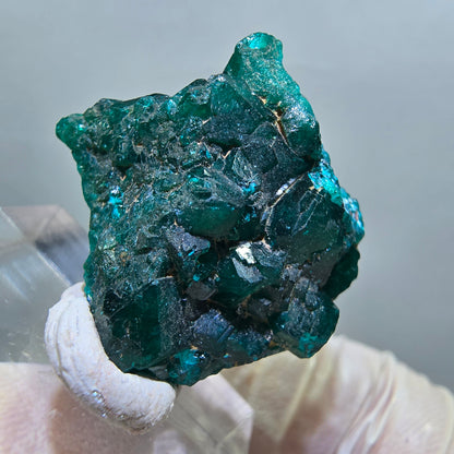 Seltene Dioptas XX Stufe, grün Republik Kongo 26*25*9mm