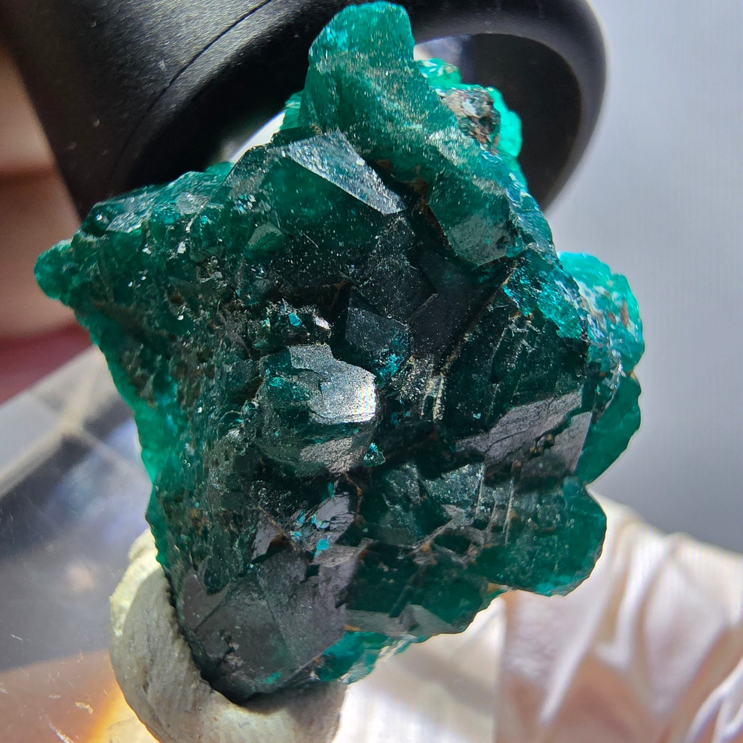 Seltene Dioptas XX Stufe, grün Republik Kongo 26*25*9mm