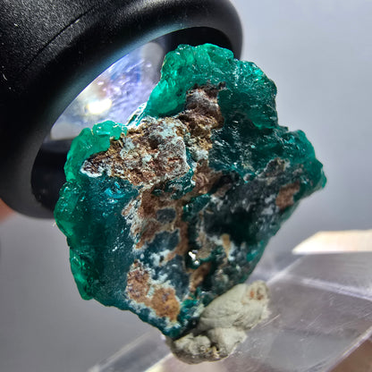 Seltene Dioptas XX Stufe, grün Republik Kongo 26*25*9mm