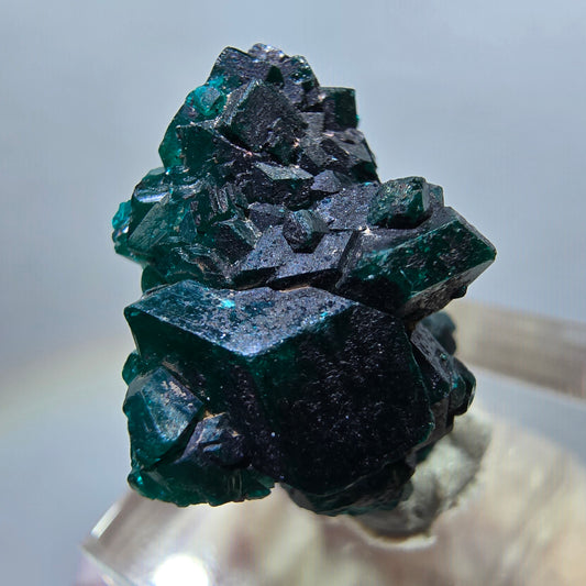 Seltene Dioptas XX Stufe, grün Republik Kongo 24*18*12mm