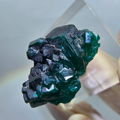 Seltene Dioptas XX Stufe, grün Republik Kongo 24*18*12mm