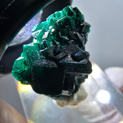 Seltene Dioptas XX Stufe, grün Republik Kongo 24*18*12mm