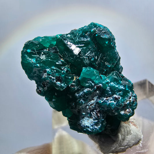 Seltene Dioptas XX Stufe, grün Republik Kongo 23*18*8mm