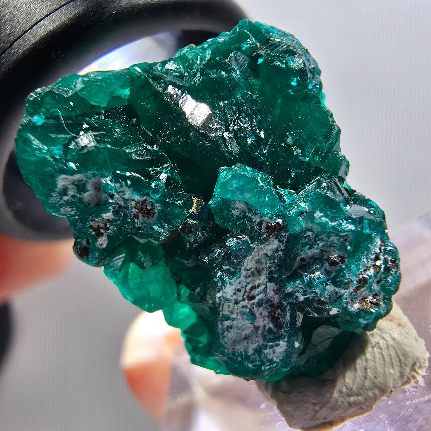 Seltene Dioptas XX Stufe, grün Republik Kongo 23*18*8mm