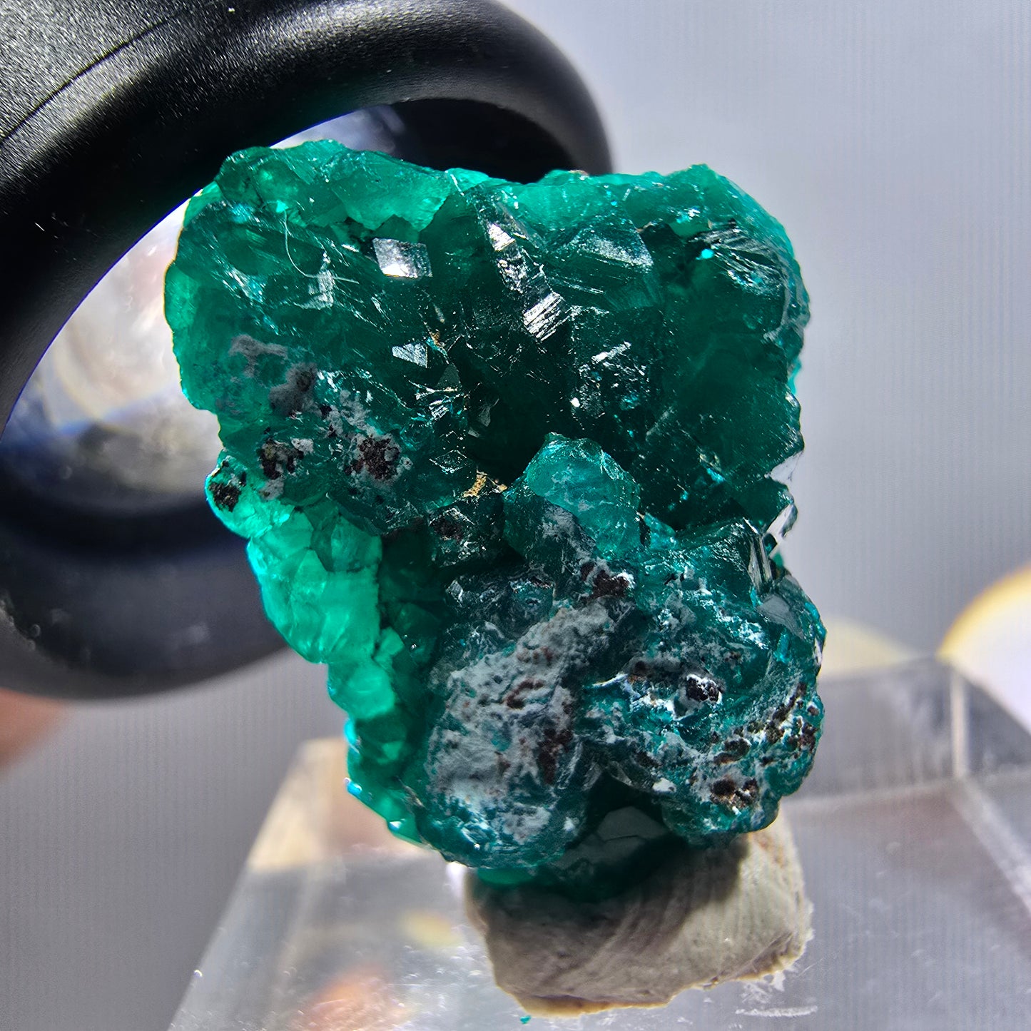 Seltene Dioptas XX Stufe, grün Republik Kongo 23*18*8mm