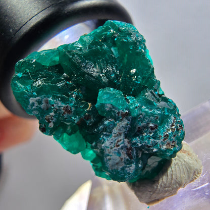 Seltene Dioptas XX Stufe, grün Republik Kongo 23*18*8mm