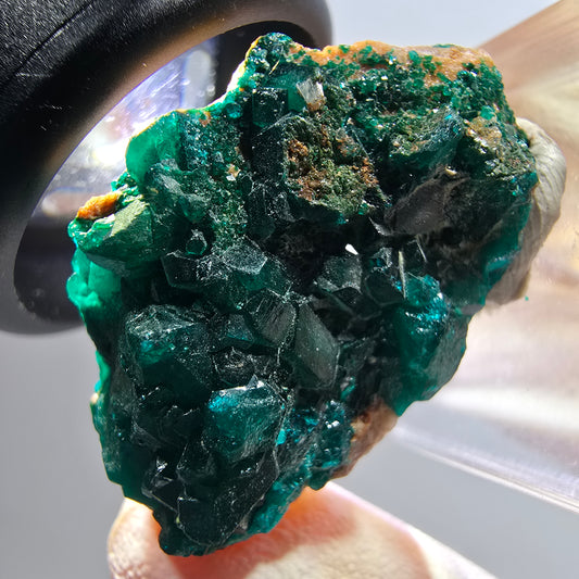 Seltene Dioptas XX Stufe, grün Republik Kongo 32*19*11mm