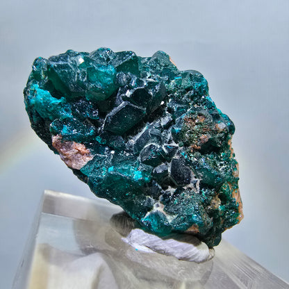 Seltene Dioptas XX Stufe, grün Republik Kongo 32*19*11mm