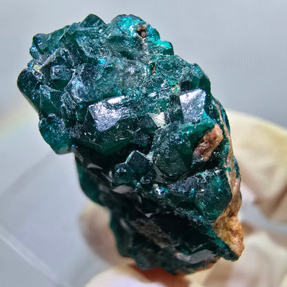 Seltene Dioptas XX Stufe, grün Republik Kongo 32*19*11mm