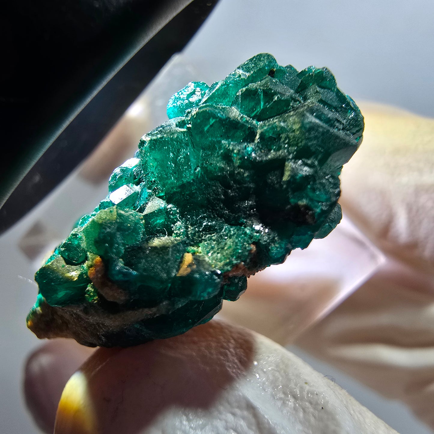 Seltene Dioptas XX Stufe, grün Republik Kongo 32*19*11mm