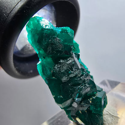 Seltene Dioptas XX Stufe, grün Republik Kongo 27*14*9mm