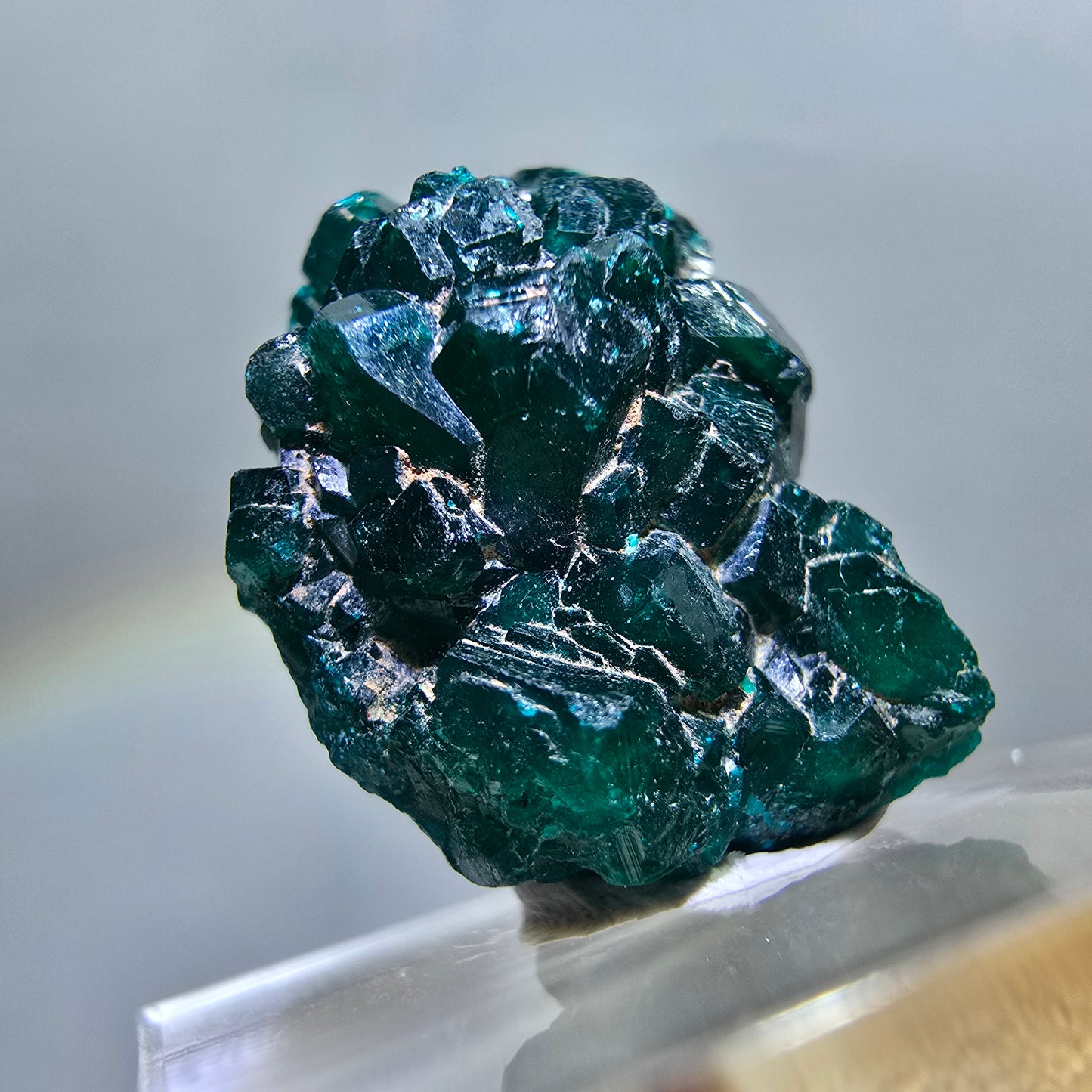 Seltene Dioptas XX Stufe, grün Republik Kongo 20*19*17mm