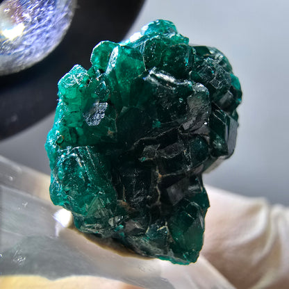 Seltene Dioptas XX Stufe, grün Republik Kongo 20*19*17mm