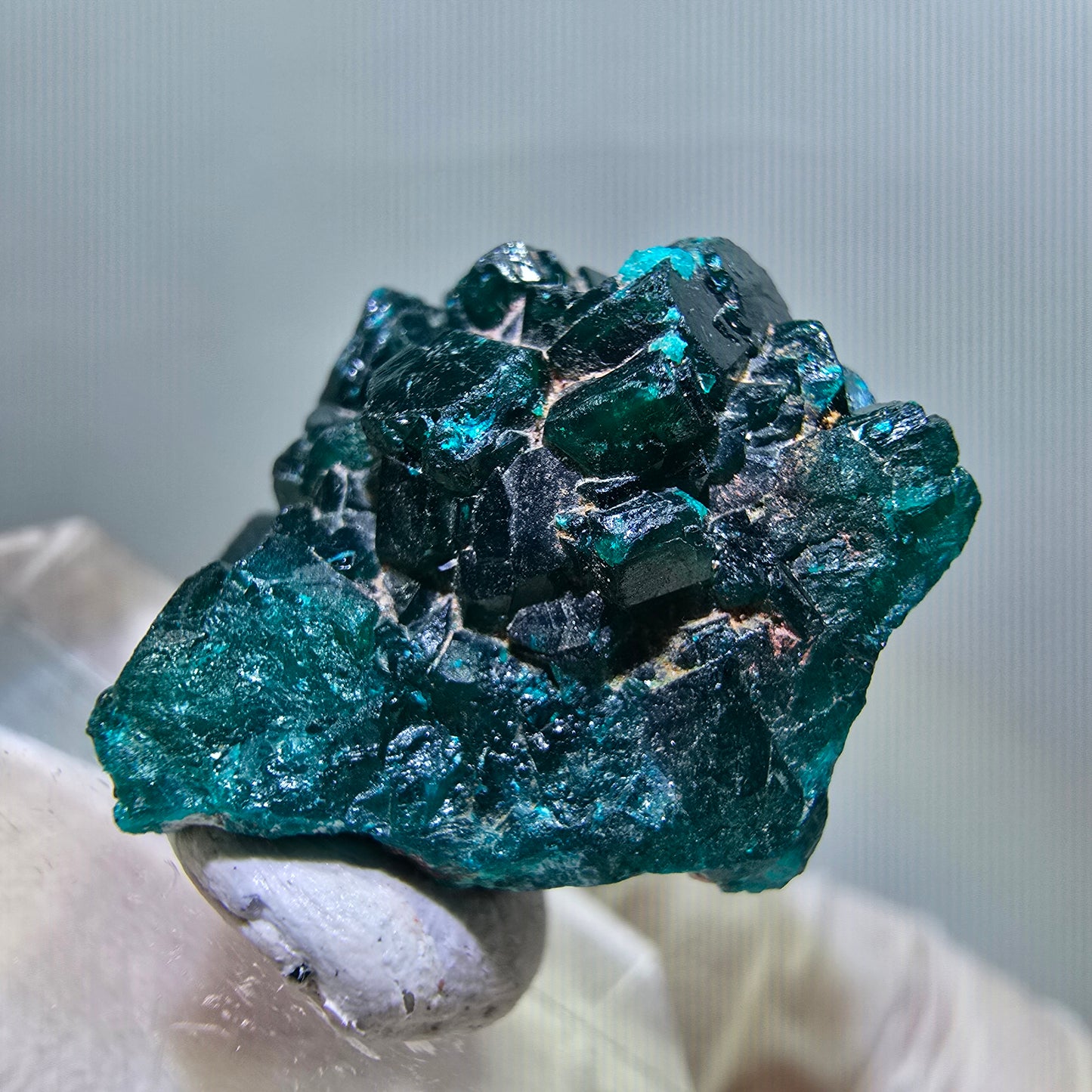 Seltene Dioptas XX Stufe, grün Republik Kongo 20*19*17mm