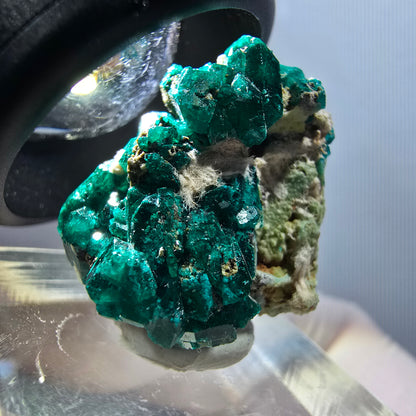 Seltene Dioptas auf Matrix Stufe, grün Republik Kongo 25*20*16mm