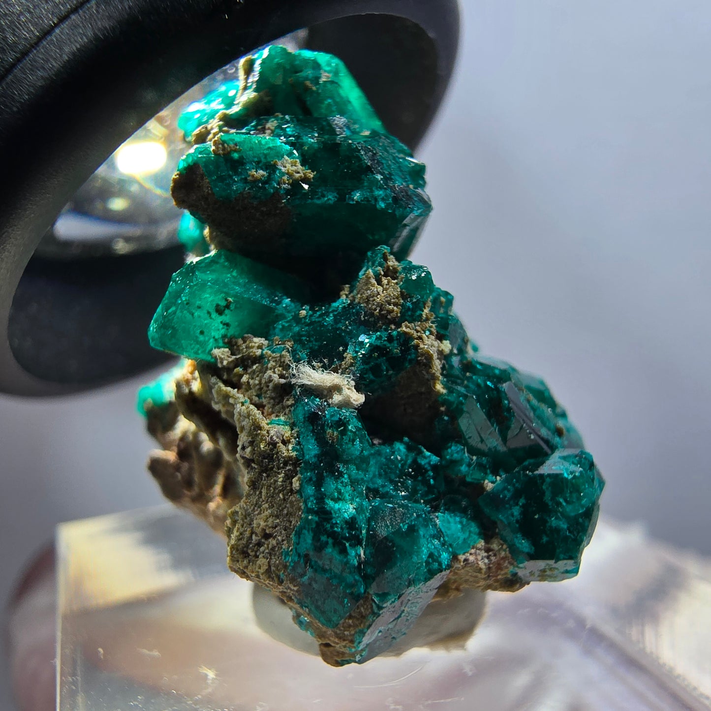 Seltene Dioptas auf Matrix Stufe, grün Republik Kongo 25*20*16mm