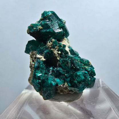 Seltene Dioptas auf Matrix Stufe, grün Republik Kongo 25*20*16mm