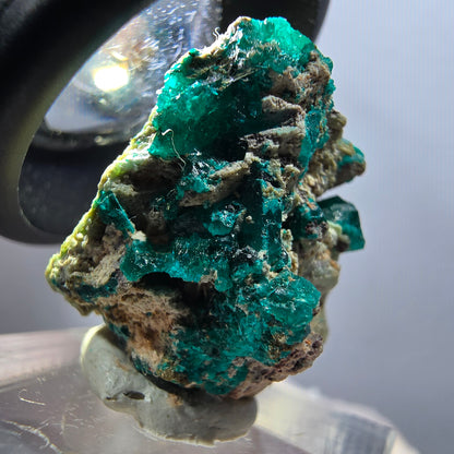 Seltene Dioptas auf Matrix Stufe, grün Republik Kongo 25*20*16mm