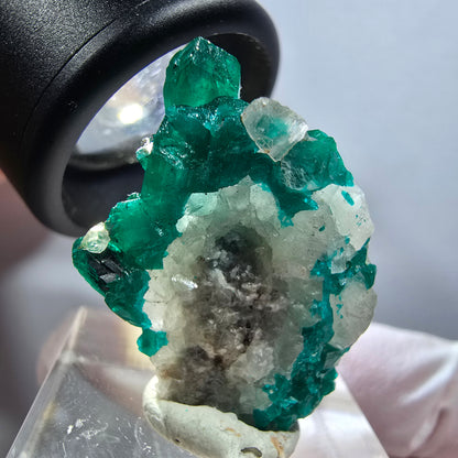 Seltene Dioptas XX, Calcit Stufe Republik Kongo 30*21*9mm