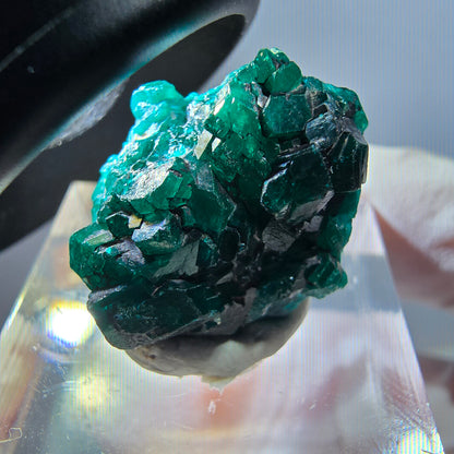 Seltene Dioptas XX Stufe, grün Republik Kongo 20*18*9mm